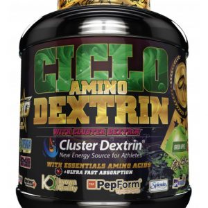 BIG CICLO AMINO DEXTRIN 1.5KG