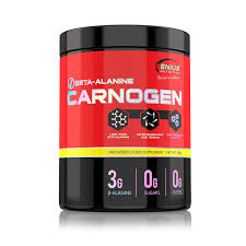 GENIUS BETA ALANINE CARNOGEN 300G